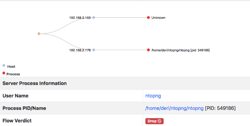 Process information in ntopng flows