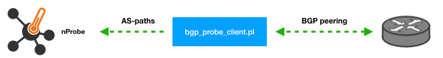 BGP with nProbe and :code:`bgp_probe_client.pl`