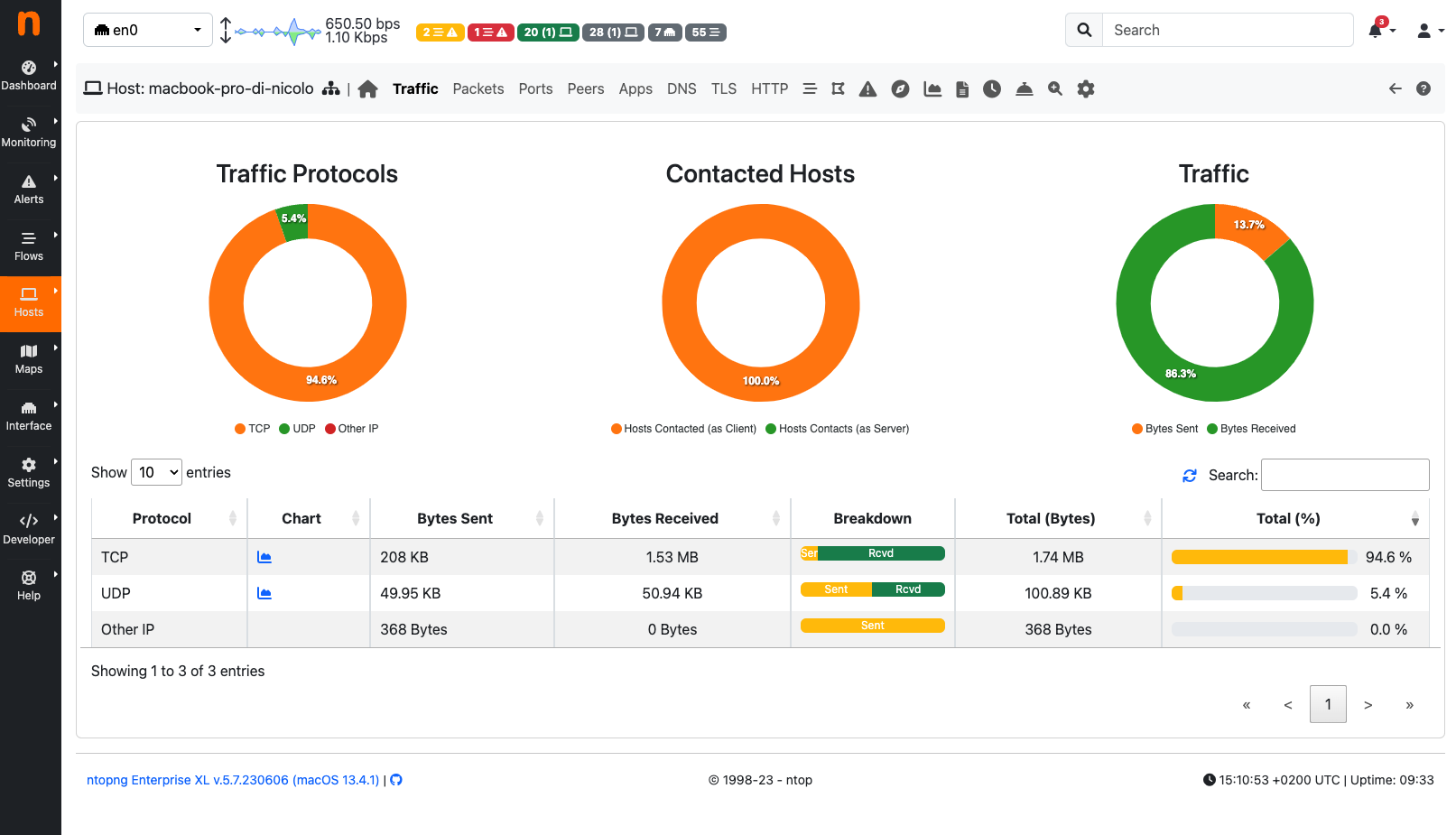 Host Traffic View