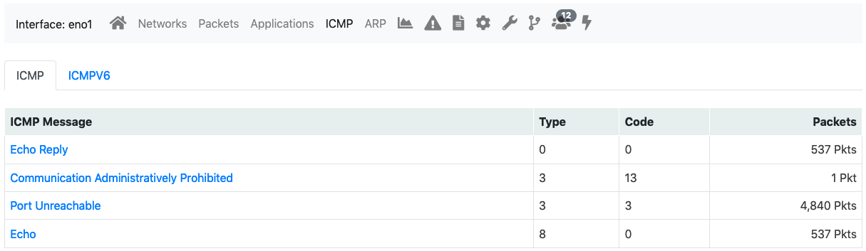 Interface ICMP View